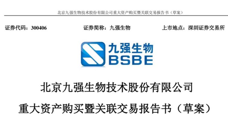 揭秘上海生物医药研发公司项目经验：关键步骤与注意事项