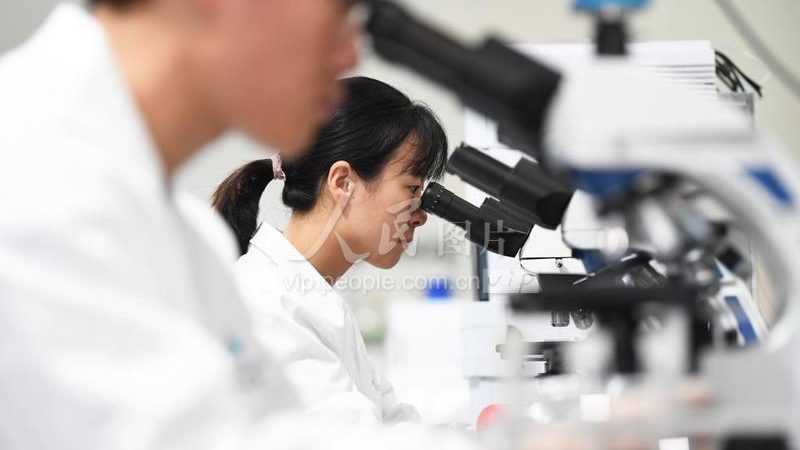 PCR实验室防污染设计：关键要点与实施策略