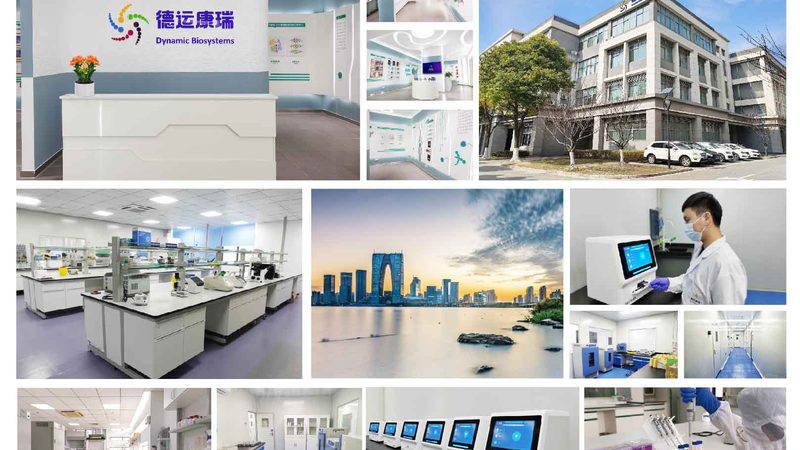 基因检测结果更新频率揭秘：影响因素与优化策略