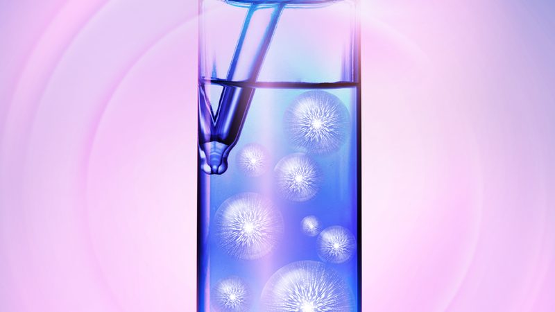 食品PCR检测CNAS认证机构
