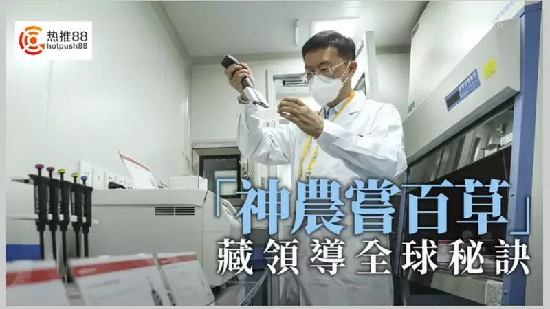 医用实验室耗材标准规范：守护科研品质的基石