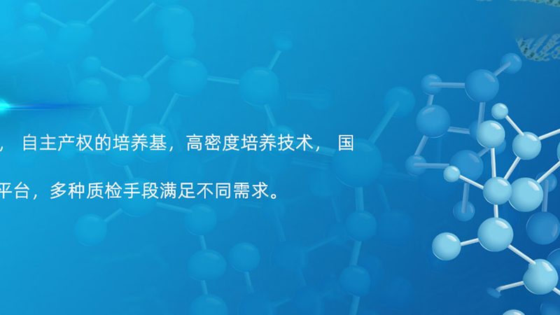 北京抗体定制生产：揭秘定制化抗体的研发与应用