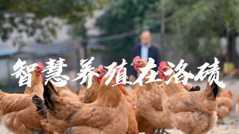 肺癌基因检测：哪些人群最需要关注？**