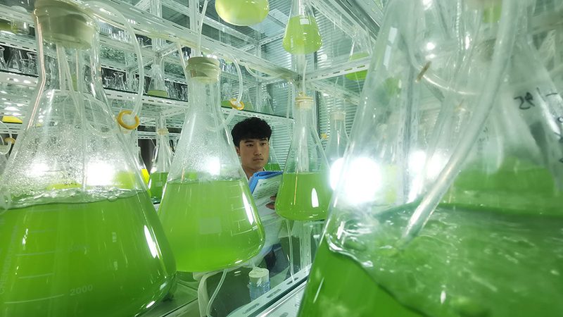 CDMO企业质量体系认证：揭秘制药行业的“隐形守护者